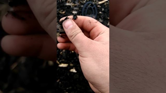 Нашли золотую монету среди мусора! смотреть онлайн