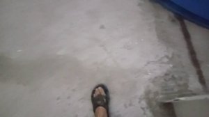 Динамичный рост малька форели!