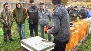 улей в верх ногами. разворот на 180,потребление меда меньше зимой с 10 кг до 4 кг (2-часть)