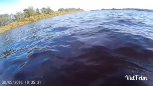 Рыбалка на перемет 2016