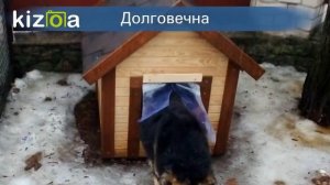 Силиконовая шторка для собачьей будки | Шторки на будку для собаки