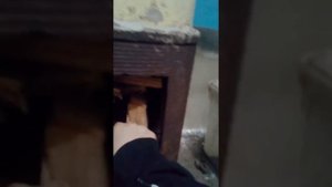 Инструкцыя как топить старый "дровянои титан"