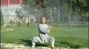 Shaolin Monk 8 Pieces of Brocade (Baduan Jin)