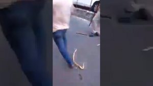 издеваются над людьми