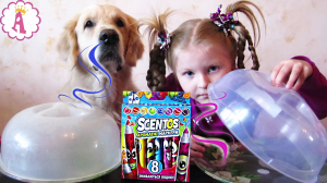 Угадай запах Челлендж ароматные маркеры Scentos киндеры Семейка Бегемотов 2017