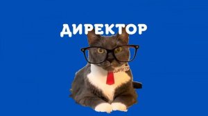 Заставка Котинет (Карусель Ирисхека 2023 н.в)
