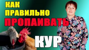 Как правильно пропаивать кур