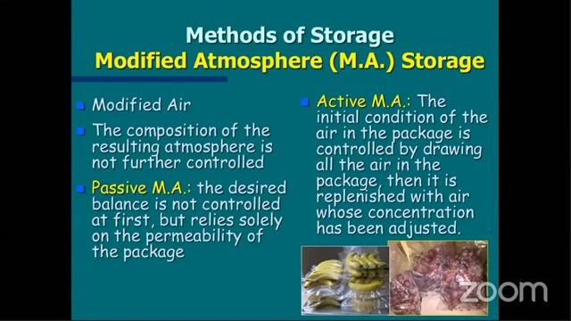 Summer School Day 2 "Post Harvesting of Tropical Agriculture" смотреть онлайн