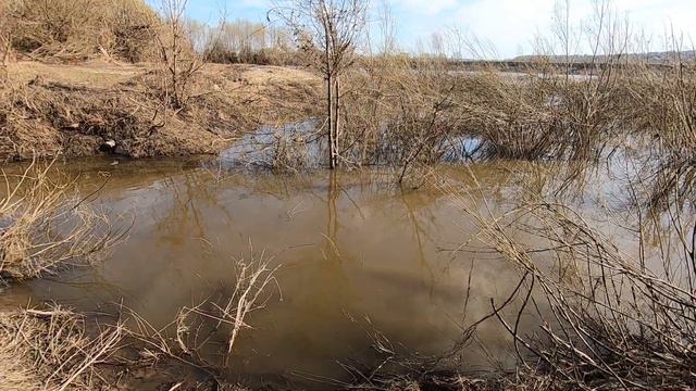 КОРОТКАЯ ПРОГУЛКА НА МАЛЕНЬКУЮ РЕЧКУ смотреть онлайн