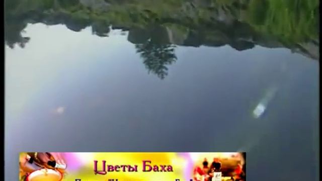 Цветочные эссенции Баха (гомеопатия)