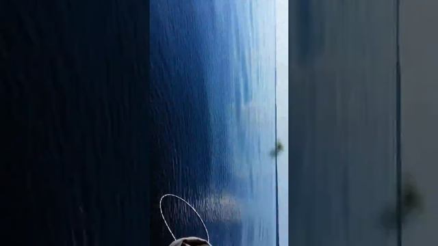 Попытка вытащить большую рыбу 1 смотреть онлайн