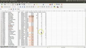 Libreoffice Base Importing CSV Data