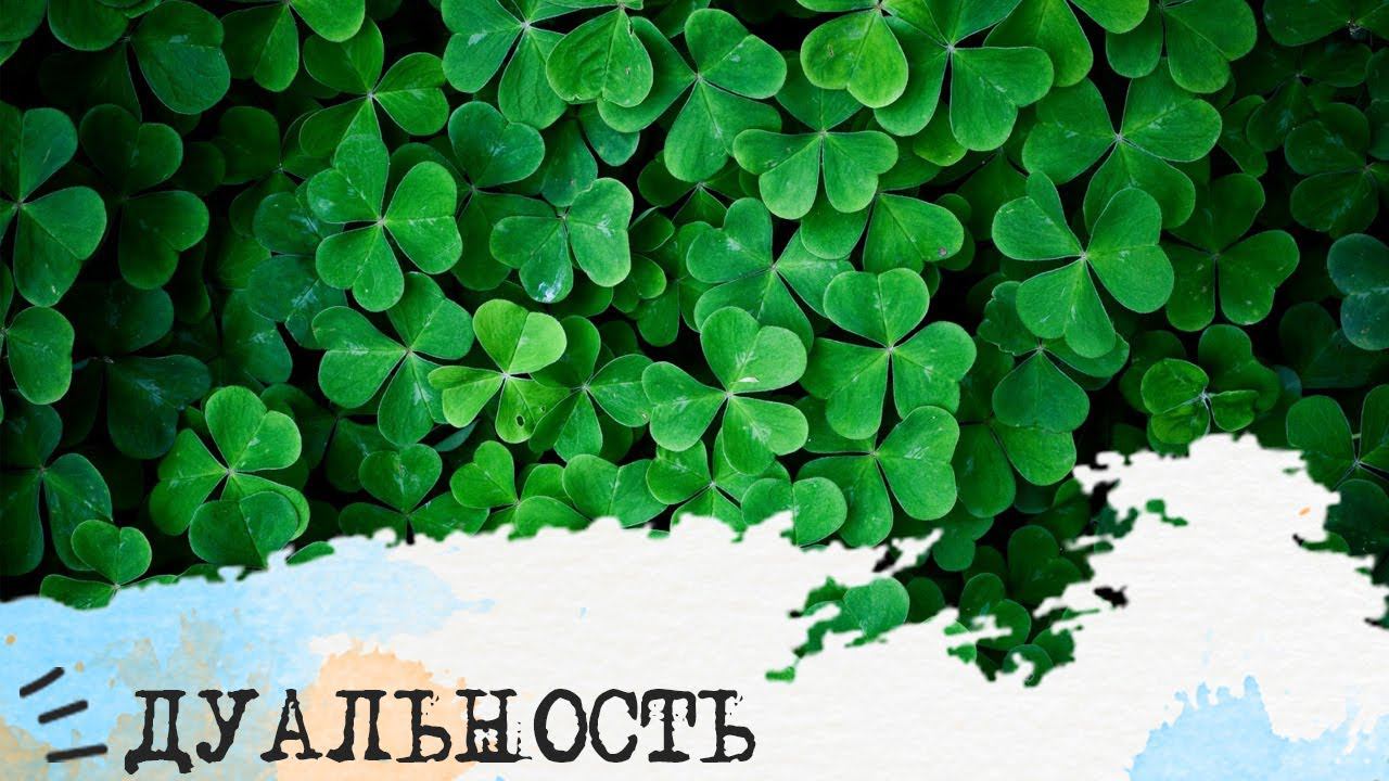 Дуальные отношения (Достоевский ЭИИ + Штирлиц ЛСЭ)