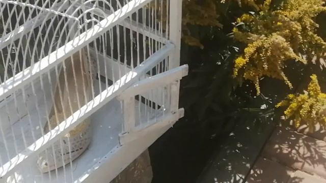 Идеи декора участка сада своими руками, лайфхаки для дизайна сада Часть 1 - телега, мельница