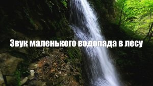 Звук маленького водопада в лесу