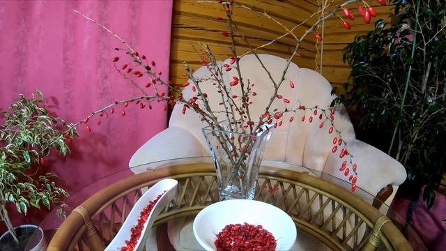 Ягоды годжи. Установлено, что люди, принимающие по несколько ягод барбариса в день, не болеют раком смотреть онлайн