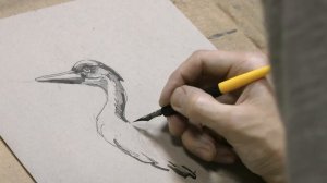 Рисование пером и тушью. Уроки рисования по графике спб