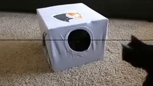 Домик для кошки своими руками из картонной коробки и футболки