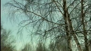 Декоративная прививка