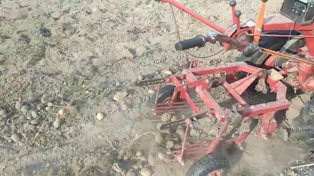 КАРТОФЕЛЕКОПАЛКА ДЛЯ МОТОБЛОКА МТЗ"КФТ2.РАБОТА ПОСЛЕ ДОРАБОТКИ. смотреть онлайн