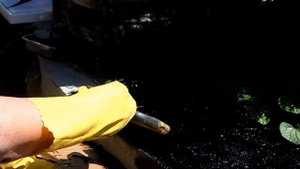 Как из бетона сделать бронзу Лев против/How concrete to make bronze