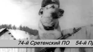 Все пограничные округа.