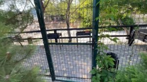 Гостевой дом «Каштан».поселок Ольгинка. Туапсинский район. Отдых на машине. Море. Путешествие