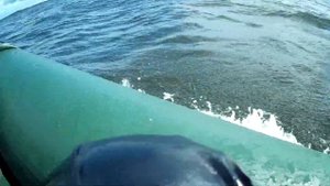 Катабайд на волне.Ветер северяк до 7 м/с.