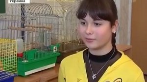 Почему нельзя есть чипсы