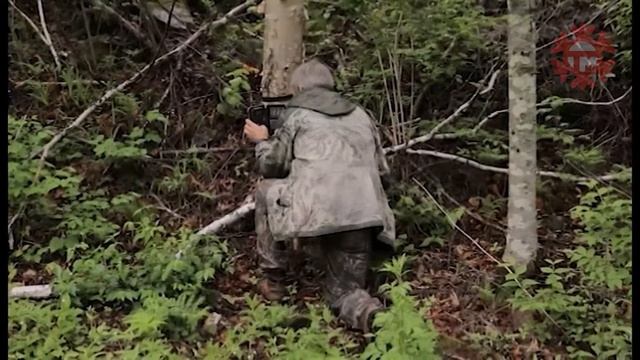 11 января в России отмечают День заповедников и национальных парков