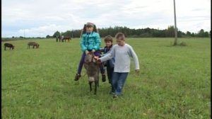 Верховая езда на ослах