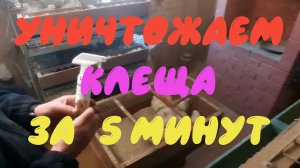 Как избавиться от куриного клеща.mp4