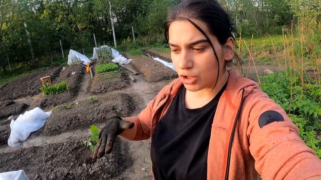 #23/2023 / Сажаем АРАХИС и АРТИШОКИ / Дачная экзотика / МыЖеНаТы смотреть онлайн