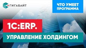 1С:ERP.Управление холдингом. Основные возможности программы