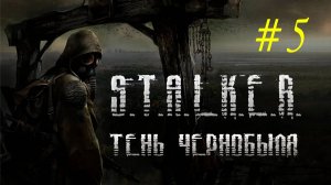 STALKER Тень Чернобыля. Тайник стрелка. В поисках стрелка. 5 часть. #STALKER #Romarik #Ромарик