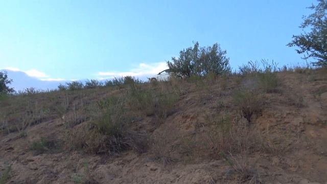 ВЕЧЕРНИЙ УЛОВ УДАЛСЯ Караси клюют без остановки смотреть онлайн