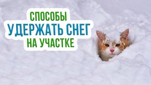 Как удержать снег на участке? Проведение снегозадержания в саду и огороде