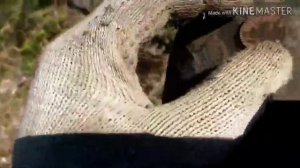 X-TERRA 705!КОПАЕМ СИГНАЛЫ ФОЛЬГИ)