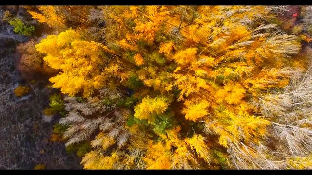 Физическое тело - в пятом измерении! смотреть онлайн