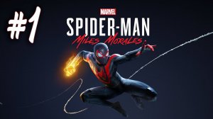 Marvel's Spider-Man: Miles Morales┃Прохождение┃СТРИМ #1