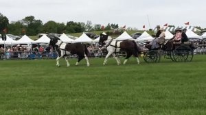 Radnor Hunt Race 2017