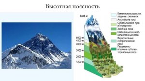 7 класс. География. Географические пояса и природные зоны Евразии