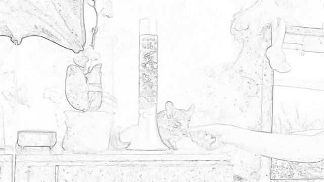 Мультфильм про Шиншиллу для деток  Cartoon Chinchilla about children.mp4