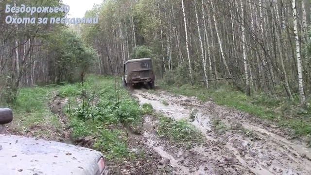 Озеро Зябское.Калужская область. смотреть онлайн