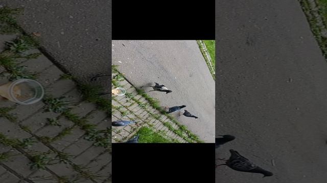 Классная прогулка в парке ЗЮЗИНО