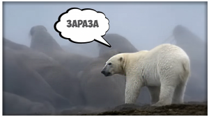 БЕЛЫЙ МЕДВЕДЬ ПРОТИВ МОРЖЕЙ  - GRICK