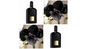 Обсуждаем самый спорный аромат от Tom Ford - Black Orchid