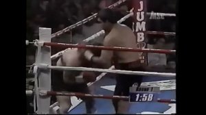 Corrie Sanders Highlights