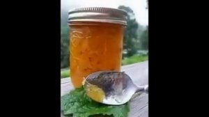 Варенье из кабачков с лимоном и апельсинами на зиму. Рецепт под видео