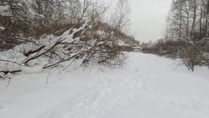 Ski-Doo Skandic SUV 600, TAYGA VARYAG 550V. Тест по горкам...! 02.01.2022г.